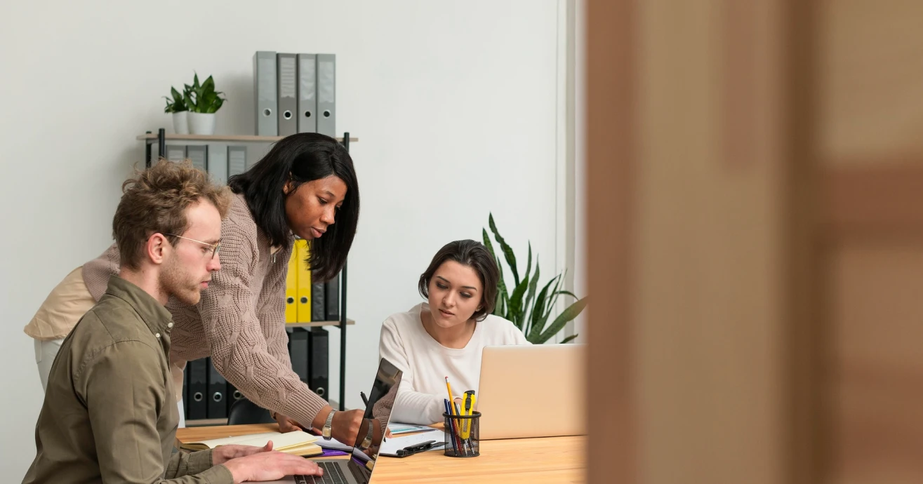 Software professionals collaborating on a project